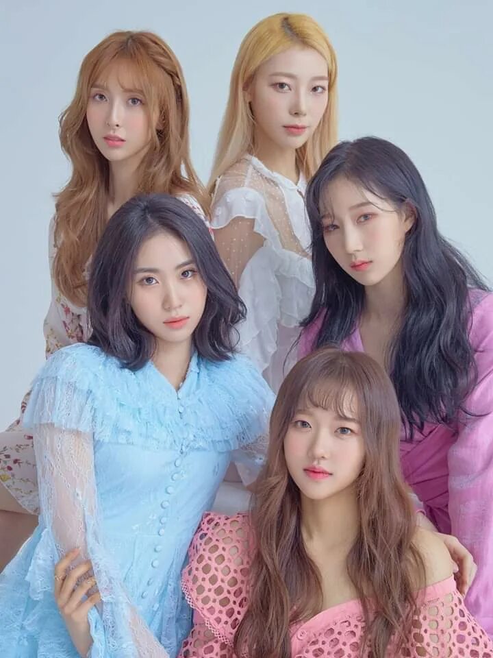 новые кей поп группы. корейские женские кпоп группы. P1 harmony группа корейская. K-pop девушки. новые кей поп группы.