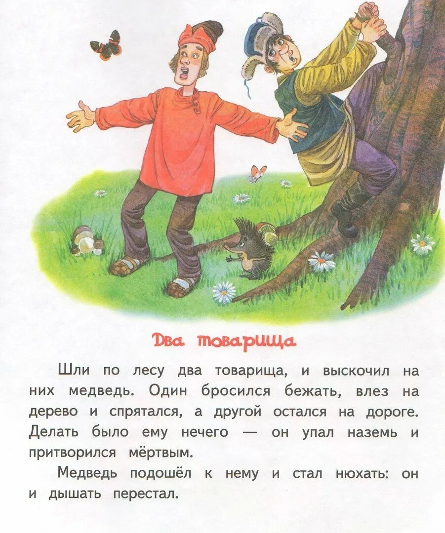 Толстой товарищи