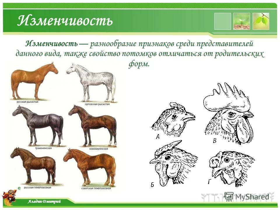 Степень разнообразия признака