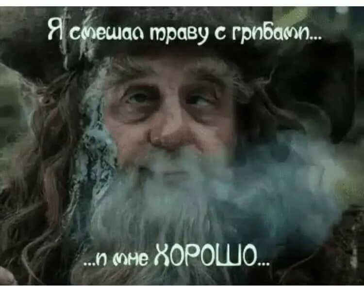 Мем сейчас мы будем. Радагаст мем. радагаст бурый мем. радагаст мемы. радагаст бурый актер.