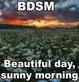 Some sunny day we ll