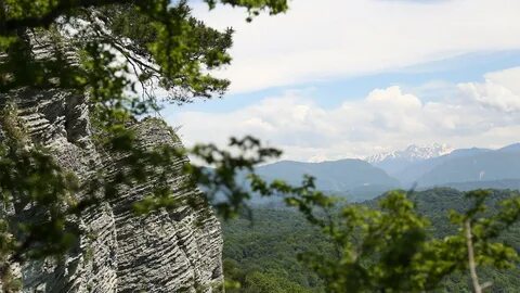 Гора роща