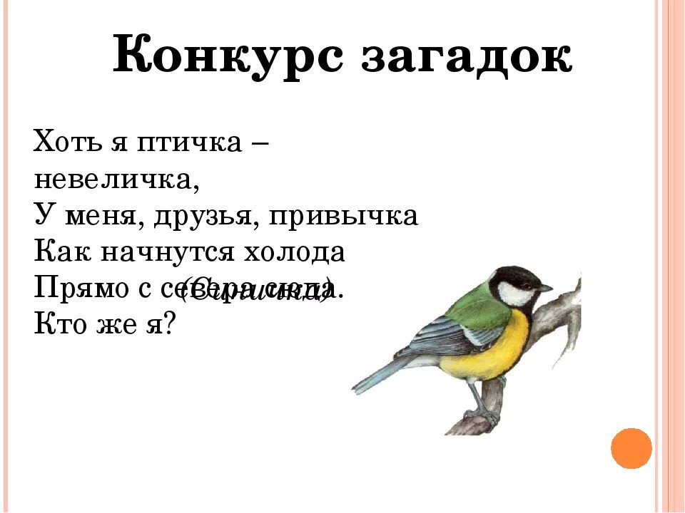 Загадка про синичку. Загадка про перепелку. Загадка про синичку для детей. Загадка про перепел.