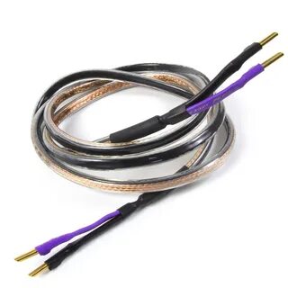 Oval plus