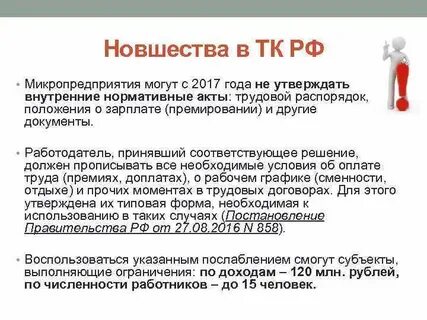 Отчет микропредприятие