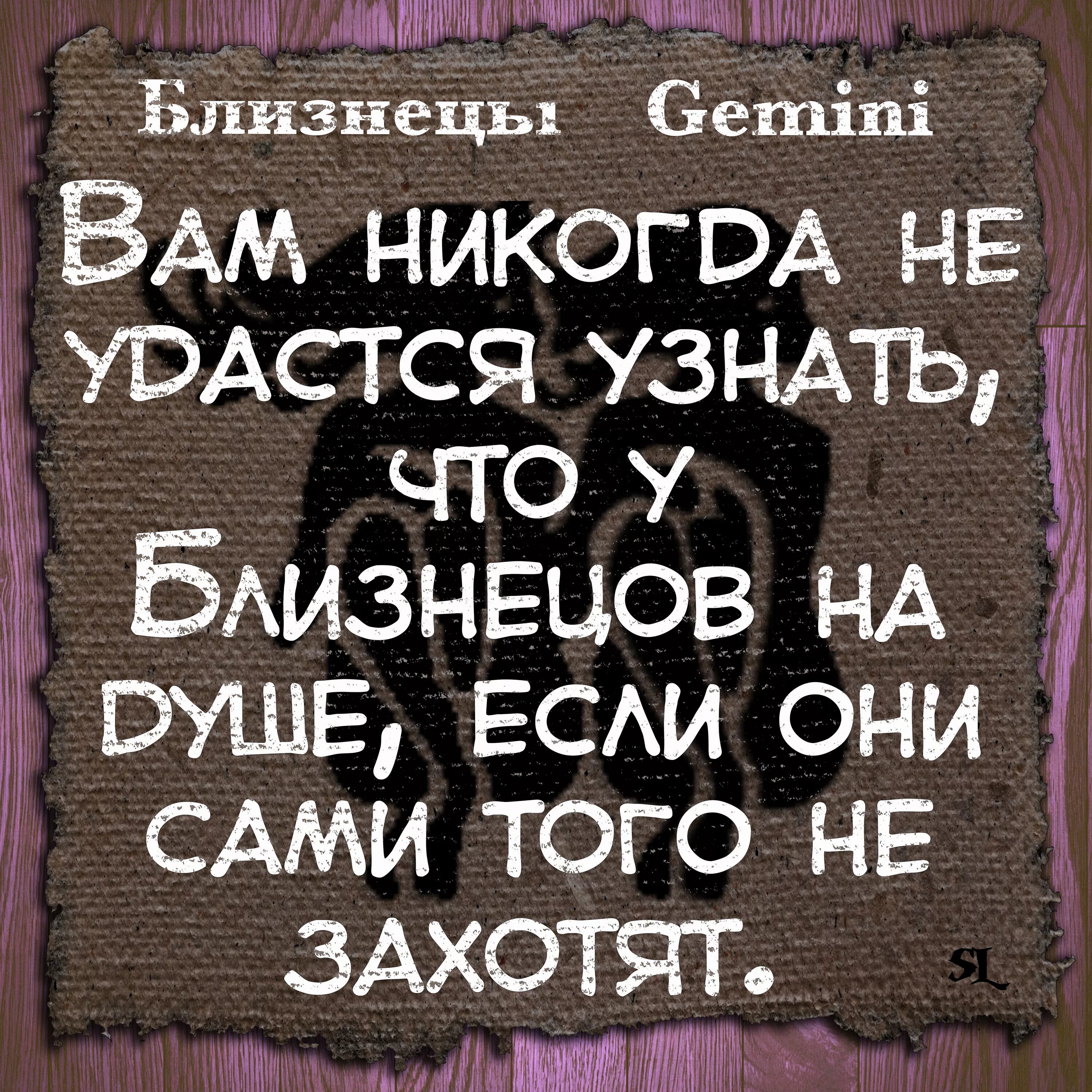 Гороскоп про мужчину близнеца. Смешные цитаты. цитаты про знаки зодиака. смешные афоризмы про знаки зодиака. афоризмы про гороскоп.