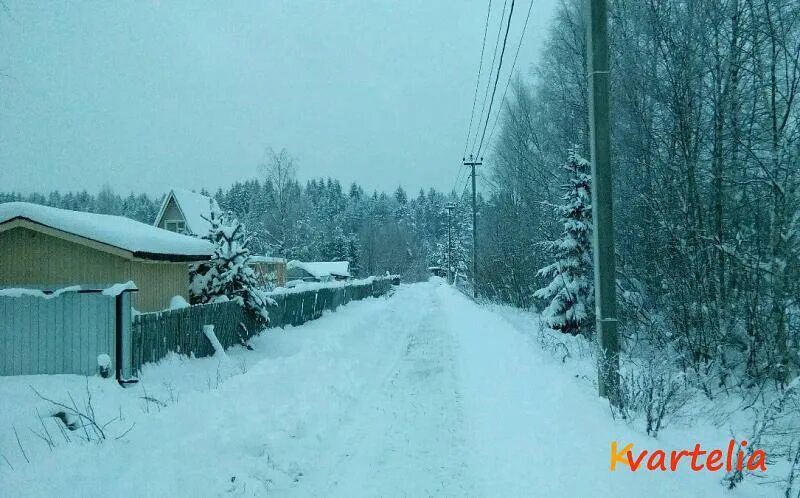 Снт никитилово. Погода в гарболово на неделю. Полигон гарболово. Гарболово фото. Гарболово ленинградская область.