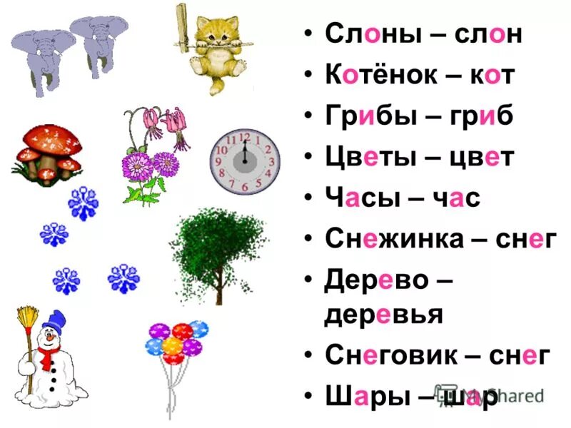 Цветущие часы диктант. Диктант цветочные часы 3 класс. Диктант цветочные часы 5 класс. Цветочные часы диктант 3 класса по русскому.