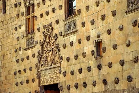 Casa de apostas