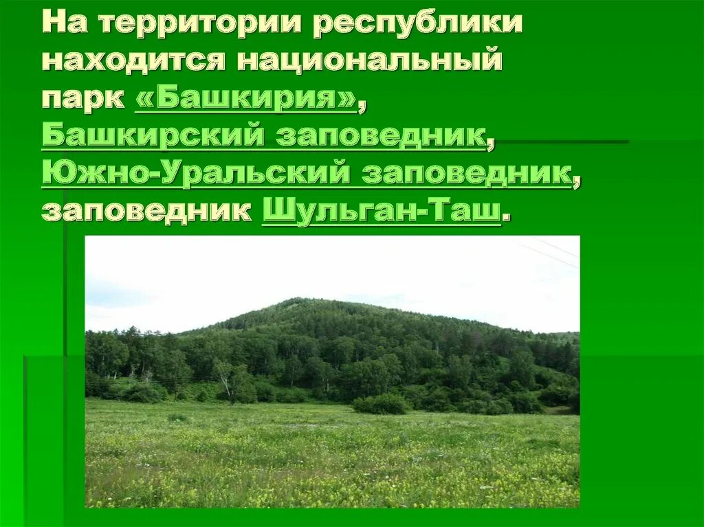 Особо охраняемые территории башкирии. Заповедники и национальные парки республики башкортостан. башкирия парк заповедник. заказники башкирии. заповедники и заказники башкортостана.