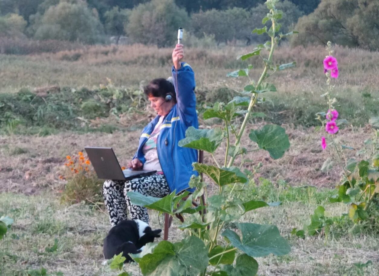 Ловить вай. Демотиваторы wi-fi. Мобильный интернет в деревне. Прикол wi fi. Ловить вай.