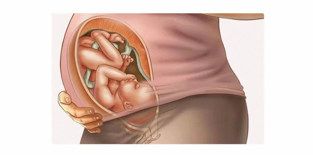 Малыш на 37 неделе беременности. 37 недель болит поясница