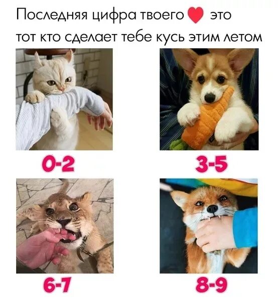 Включи последнюю лайкнувшую