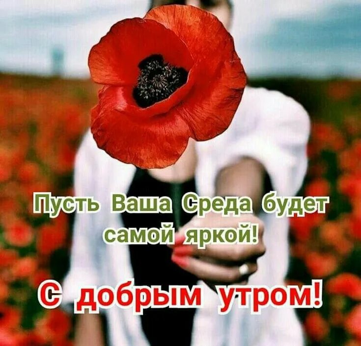 Доброй весенней среды картинки красивые с пожеланиями: найдено 89 изображений
