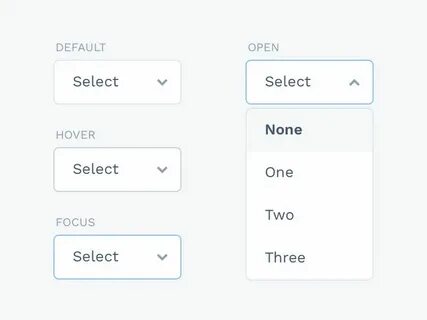 Input dropdown