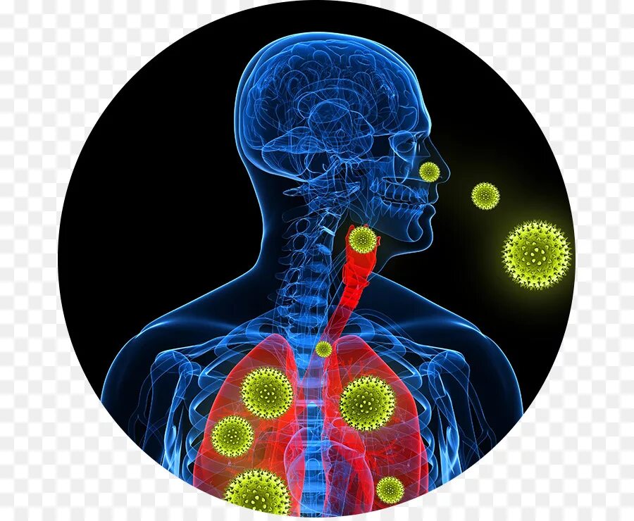 Respiratory virus. Инфекции дыхательных путей. Заболевания органов дыхания. Инфекционные заболевания органов дыхания.