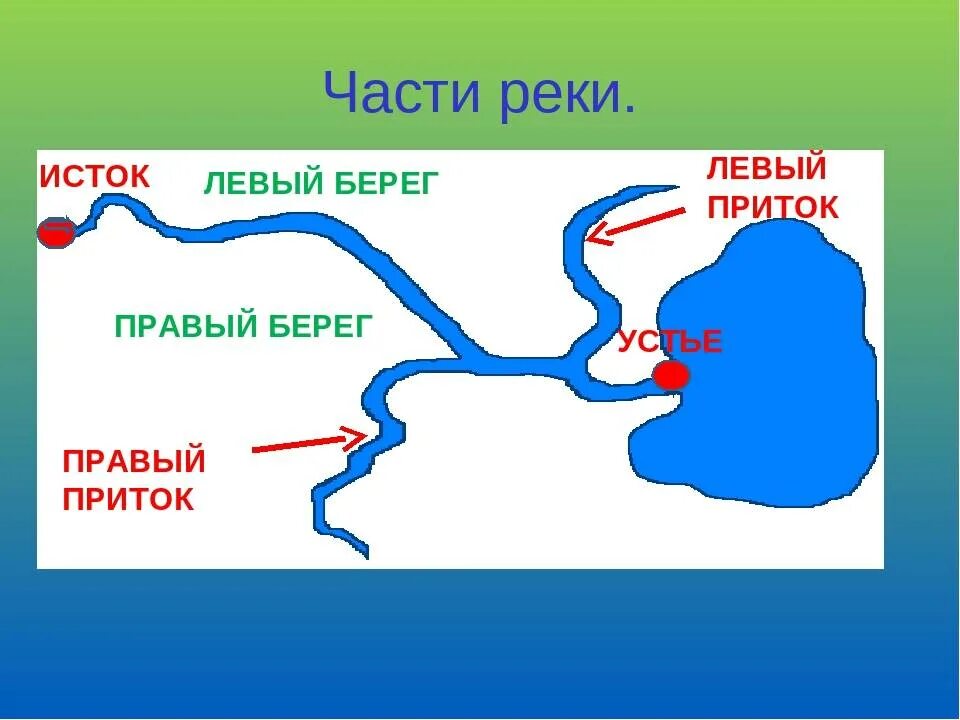 Схема реки Исток русло Устье. Части реки русло Исток приток. Устье Исток русло части реки. Части реки что такое Устье, приток,Исток