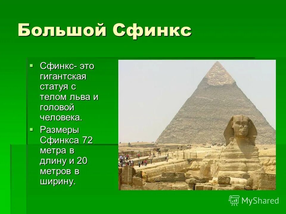 Пирамида с головой человека и телом Льва. Длина большого сфинкса. Сфинкс Египет. Длина и ширина сфинкса.