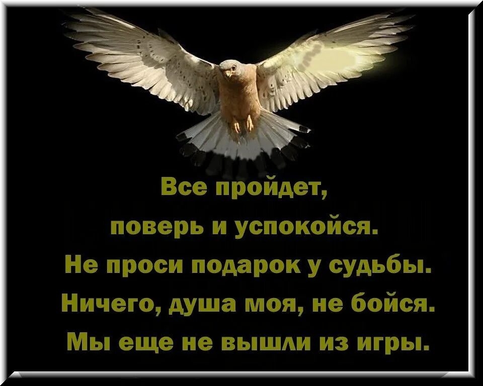 Песни успокоить душу. Ничего душа моя не бойся. Успокоится душа. Душа успокойся. Да упокоится его душа с миром.