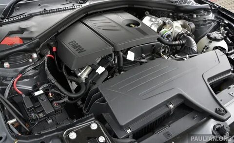 N 13
