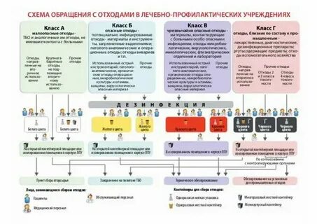 Правила сбора хранения медицинских отходов