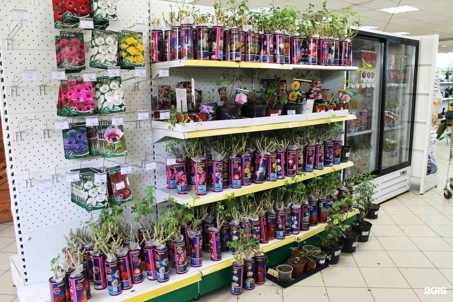 поставщики садовод женская одежда. лавка садовода интернет магазин. садовод рынок. магазин садовод. товары садовода интернет.