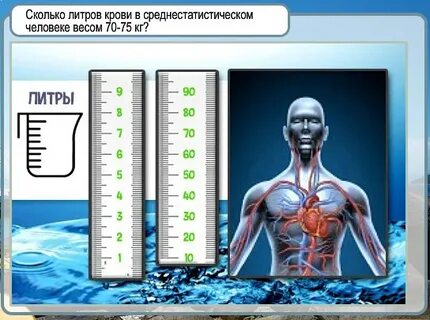 80 килограмм это сколько литров