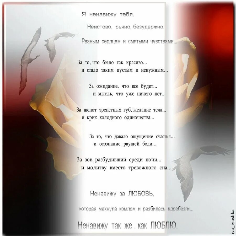 Я ненавижу за то что рядом нет. Ненавижу - люблю. Я тебя люблю и ненавижу. Люблю тебя и ненавижу стихи. Я тебя ненавижу.