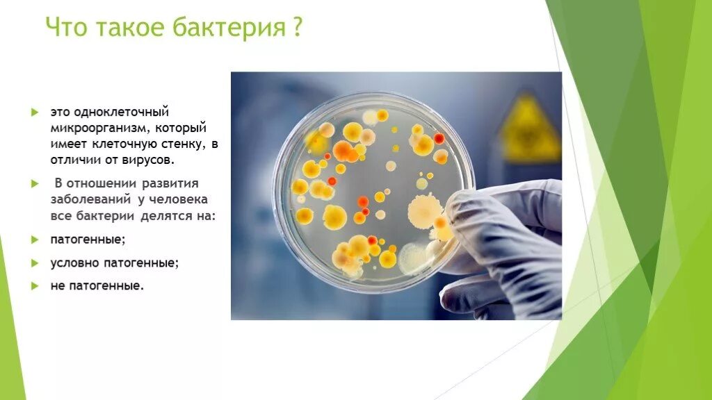 Патогенные микроорганизмы болезни. Бактериальная инфекция. Заболевания от бактерий у человека. Болезнетворные бактерии.