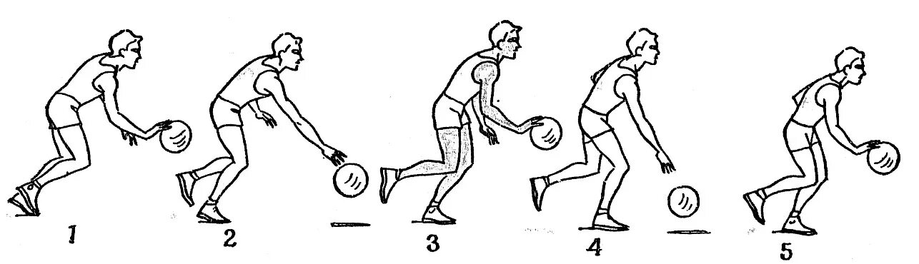 Техника ведения мяча в баскетболе. Техника ведения мяча одной рукой в баскетболе. Введение мяча в баскетболе. Ведение мяча в баскетболе одной рукой. Ведение мяча бегом