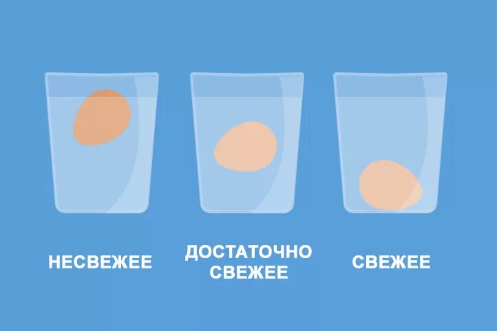 Свежее яйцо в воде. Свежесть яиц в воде. Как узнать свежесть яиц. Погружение в воду яйца. Яйца всплывают в воде можно ли