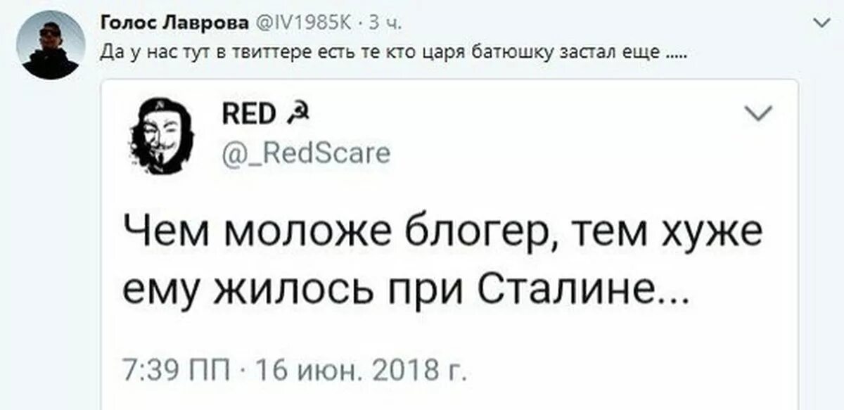 Высказывания о блоггерах. Цитаты блоггеров. Чем младше блоггер тем хуже ему жилось при Сталине. Цитаты про блоггерство.