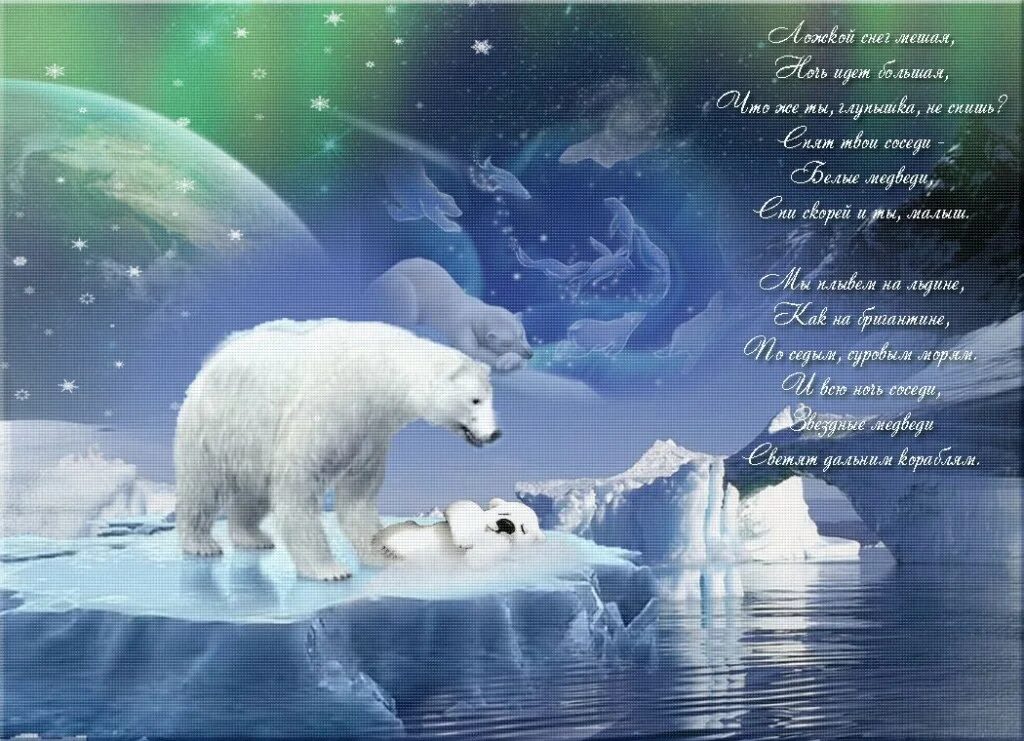 Умка ложкой снег мешая. Белые медведи Колыбельная. Спокойной ночи белый медведь. Колыбель Умки. Слушать колыбельную умки без остановки