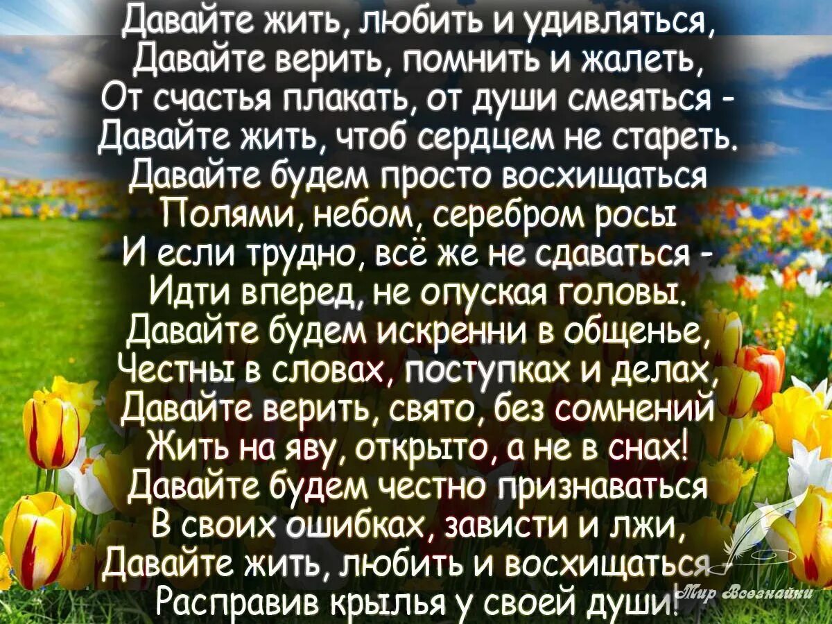 Нужно просто верить. Счастье просто жить и жить. Жить стихи. Просто жить стихи. Стихи о счастье жить.