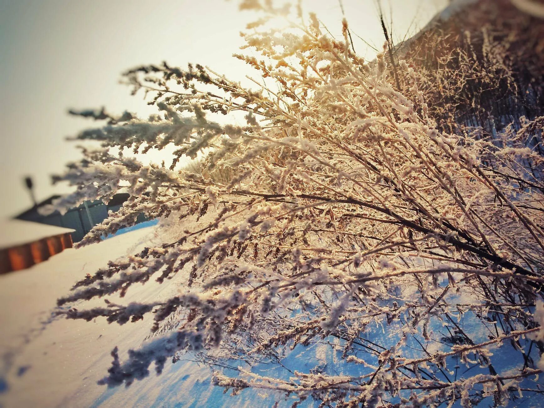 Снежное утро красивые. Снежное утро. Зимнее утро. Утро снег. Эстетика снега и солнца.