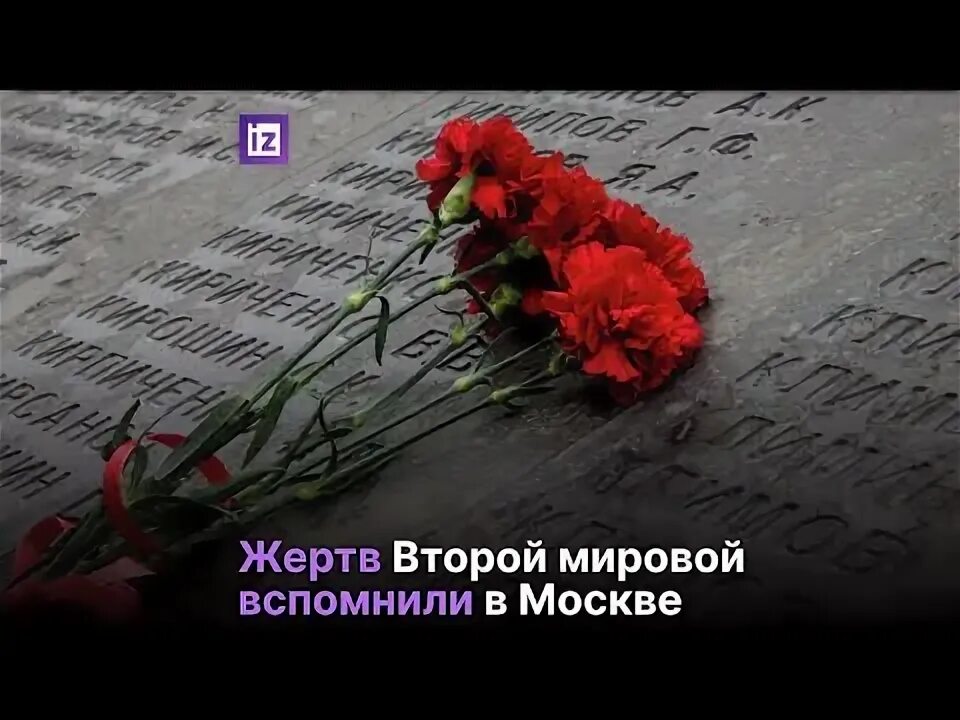 Стих про видеоролик. Стих о вов до слез душераздирающие.