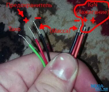 Белый и зеленый провод какой плюс