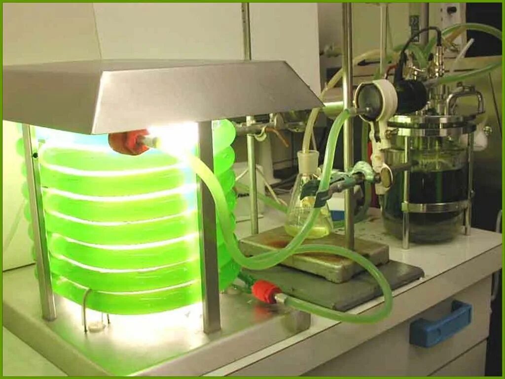 Производство водорослей. Биореактор для хлореллы. Фотобиореактор хлорелла. Трубчатые фотобиореакторы. Хлорелла биотехнология.