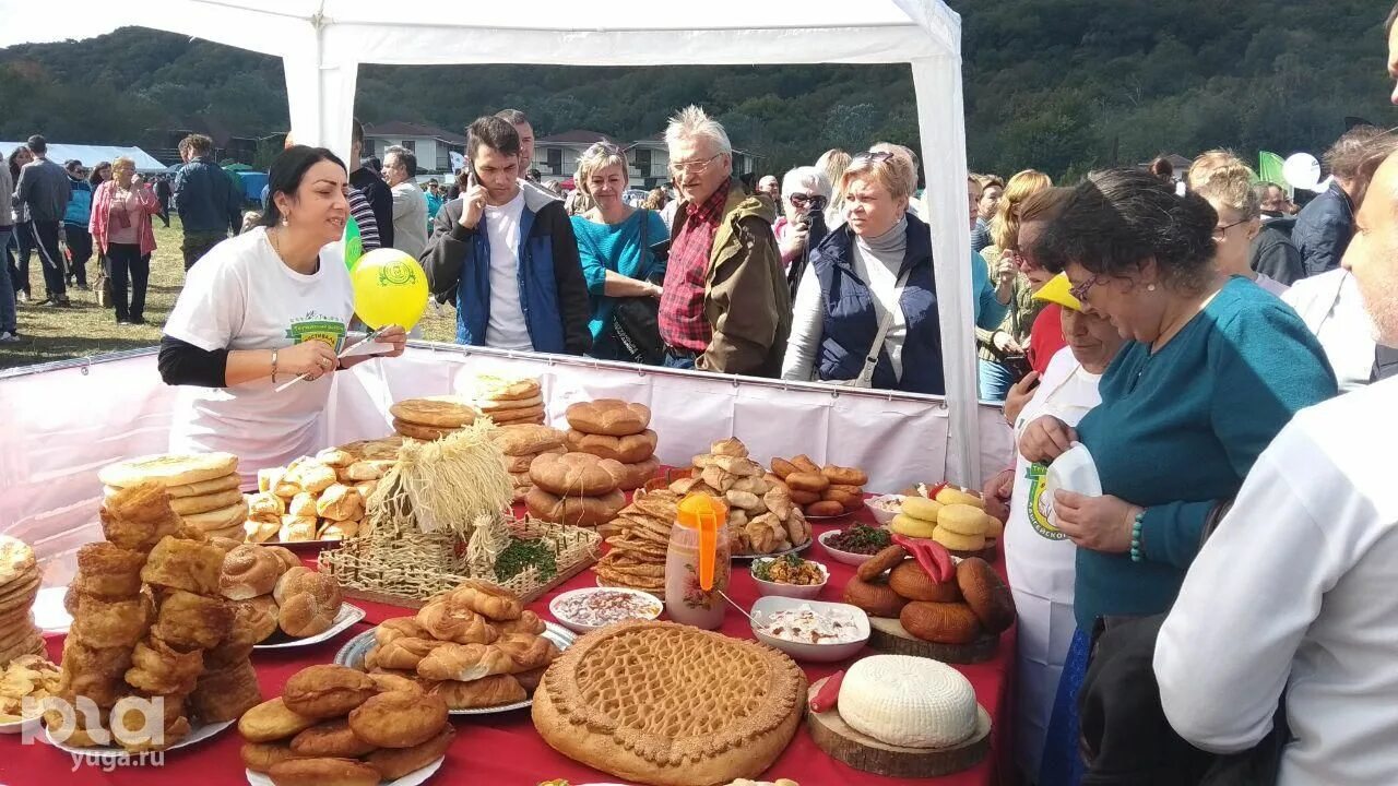 Фестиваль адыгейского сыра. Фестиваль адыгейского сыра. Фестиваль адыгейского сыра. Адыгея ярмарка сыра. Фестиваль адыгейского сыра 2023 даховская.