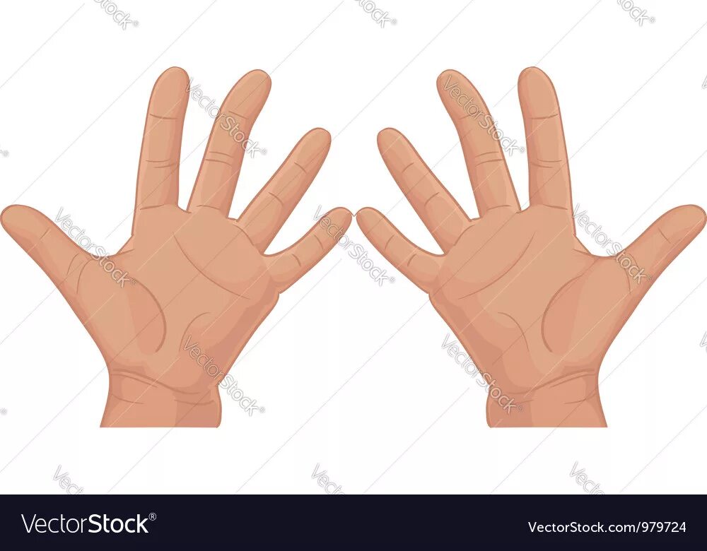 Человеческая рука. 10 на пальцах. 10 пальцев на руке. Детская гимнастика для пальцев. Как сделать 10 пальцев.