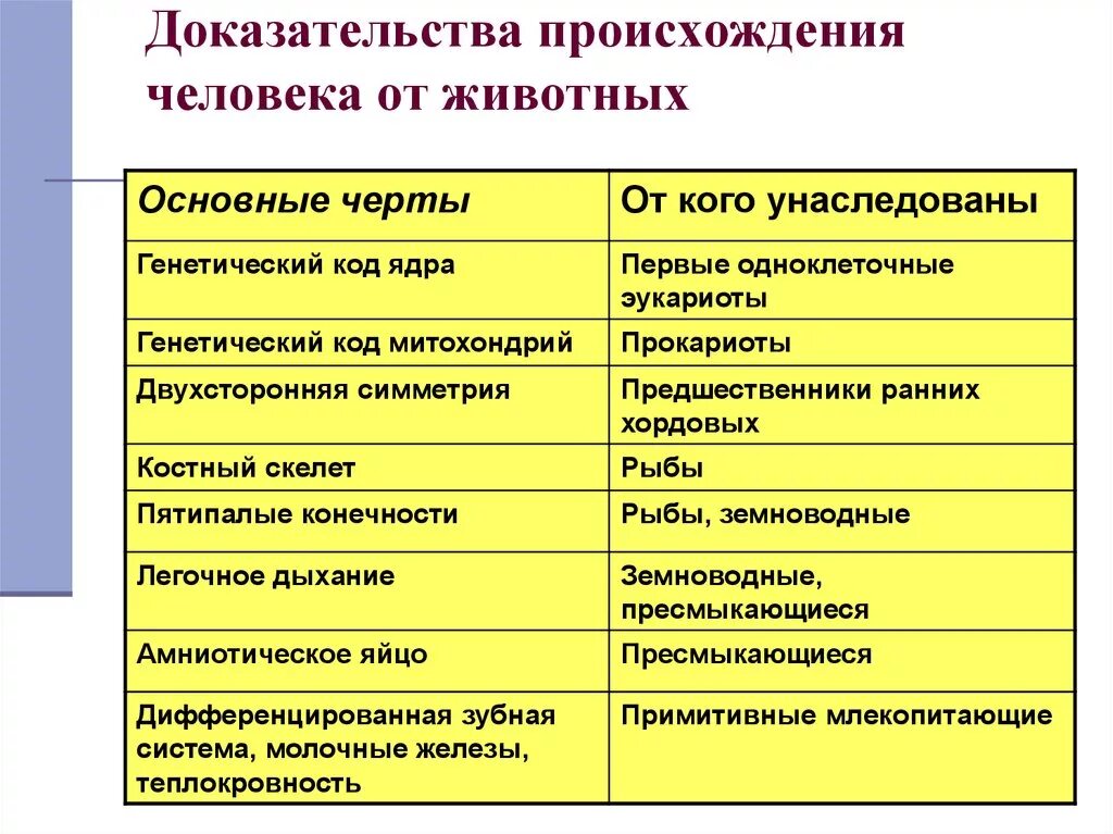 Доказательства животного происхождения человека. Физиологические доказательства происхождения человека от животных. Доказательства животного происхождения человека цитогенетические. Доказательства происхождения человека разумного от животных.