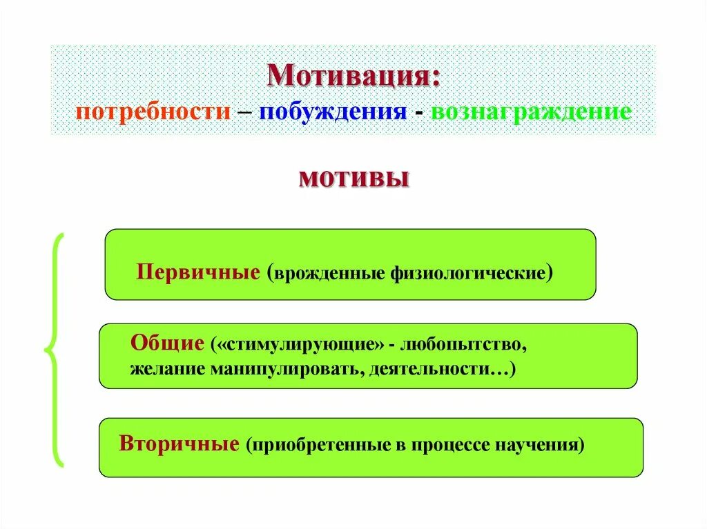 Мотивы стимулы потребности. Мотивация и потребности. Потребность мотив мотивация. Мотивы и мотивация (первичные и вторичные мотивы).. Мотивация. Виды потребностей..