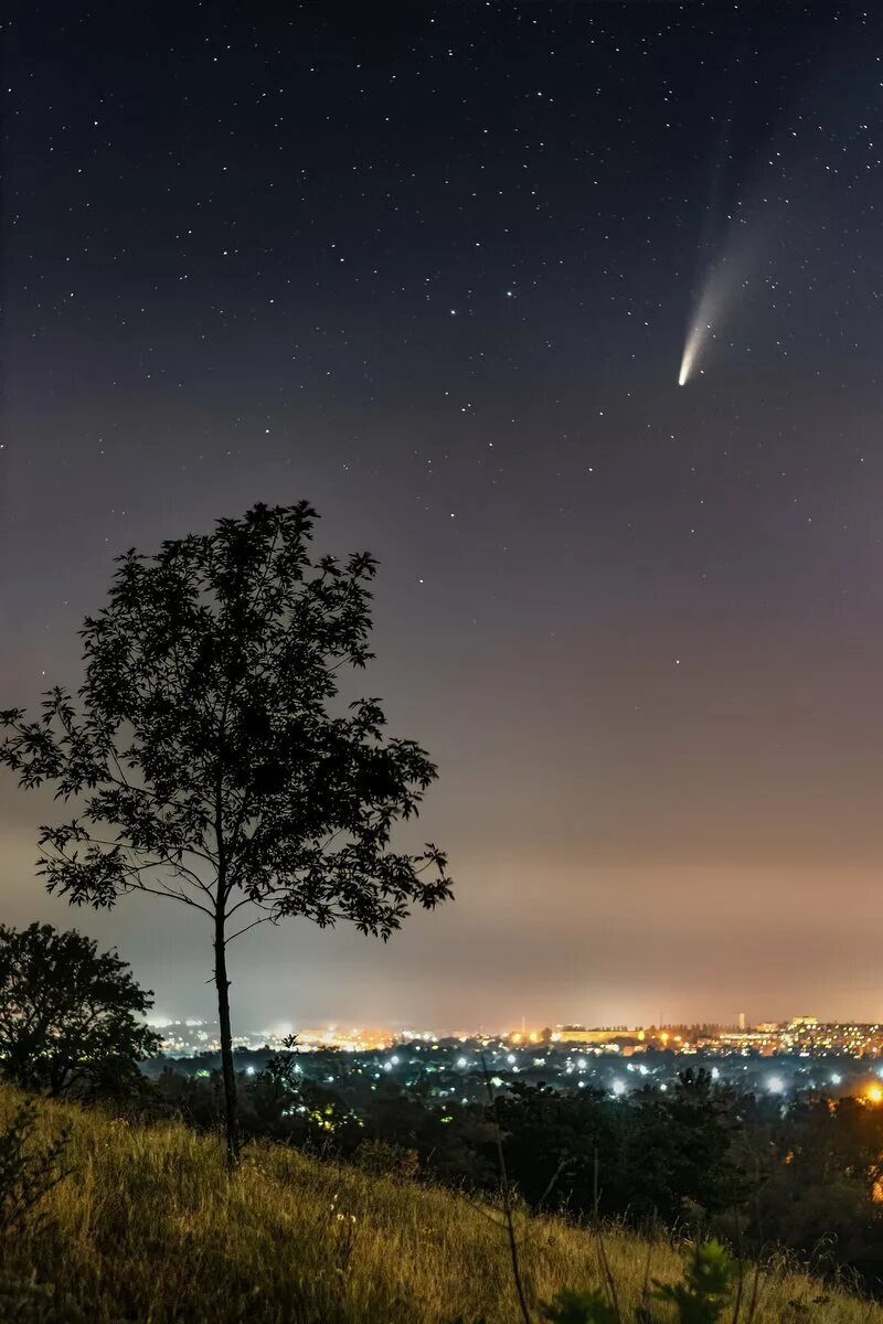 Когда можно увидеть комету в москве. Комета 2020 NEOWISE. Комета c/2020 f3. Комета в небе. Комета вид с земли.