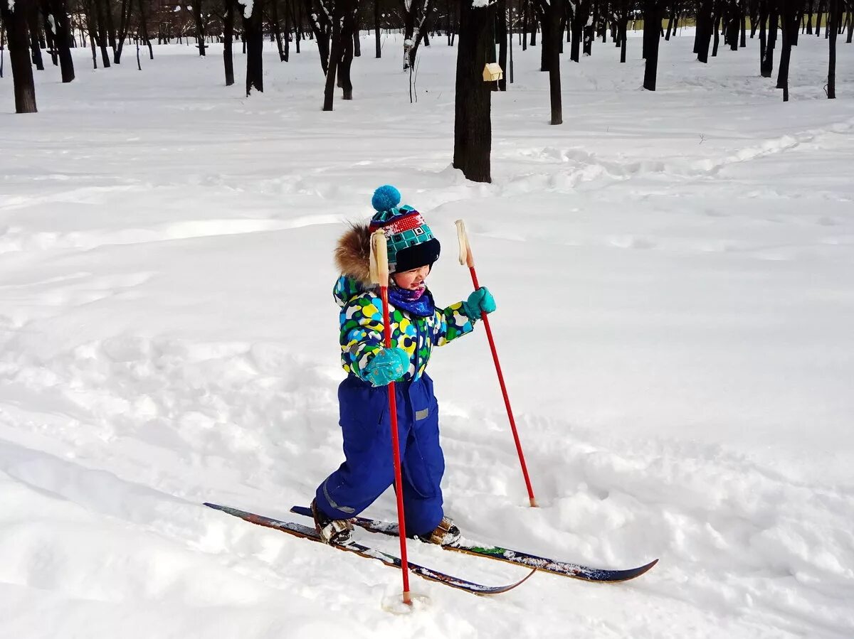 Дети на лыжах. Лыжи для дошкольников. Дети катаются на лыжах. Малыши катаются на лыжах.