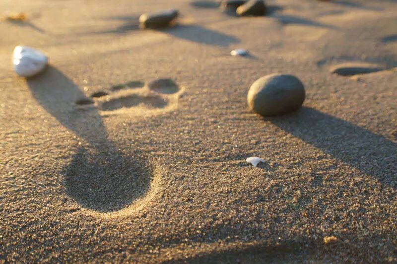 След в истории. Следы на песке. Шаги на песке. Следы ног на песке. Следы на песке у моря.