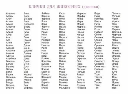 Лучшее из имен трудно