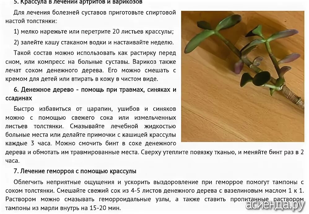 Можно ли лечебную. Схема лечения бильтрицидом при описторхозе. Минеральная вода для организма. Яемполезна минурларка. Чем полезен щавель.