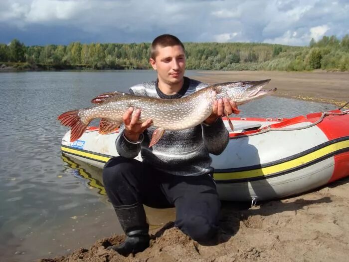 Прогноз погоды в чулыме. Чулым Красноярский край. Рыбалка на Чулыме. Рыба в Чулыме. Река Чулым рыбы.