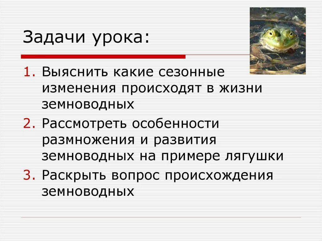 Годовой цикл развития земноводных. Жизненный цикл земноводных 7 класс. Жизненный цикл земноводных 7 класс биология. Годовой жизненный цикл амфибий.