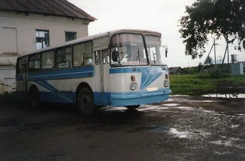 Автобус 43 морозки